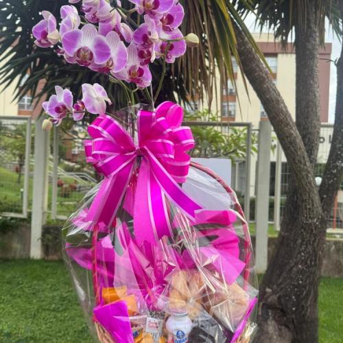 Cesta de Café da Manhã com Orquídea